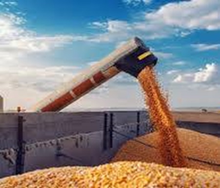 Наукова бібліотека ХДАЕУ. Статті до теми «Зерно та виробництво зерна».