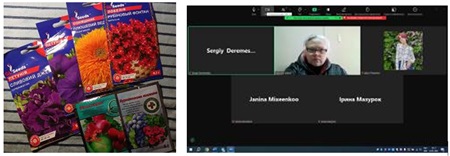 Заняття наукового гуртка «Квітникарство»: особливості вирощування квіткових культур через розсаду