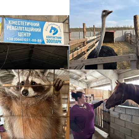 Виїзне практичне заняття в ГО “Реабілітаційний центр Хіппос” м. Кропивницький.