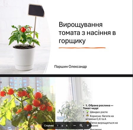 Коли любов до рослин проростає в серцях молоді — створюється «KITCHEN GARDEN»!
