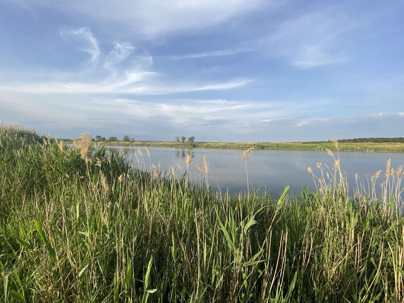 Життєдайні води Дніпра