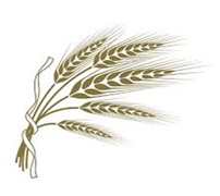 Освіта в польових умовах де ХДАЕУ та TRAVELITE AGRO UKRAINE |WRRU відкривають новий формат практики