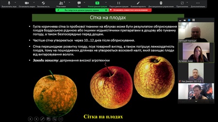 Підсумкове засідання студентського наукового гуртка «Технолог» у 2025 році на тему: «Заходи боротьби з вірусними та фізіологічними (функціональними) хворобами плодів зерняткових культур під час їх зберігання»